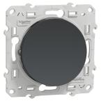  ODACE VV ANTH 10A VIS 