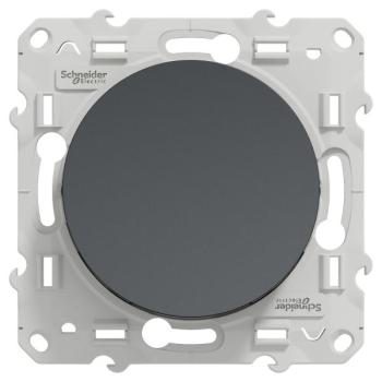  ODACE POUS CARILLON ANTH 