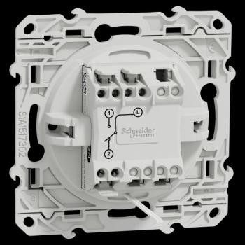  ODACE VV LUM ANTH VIS 