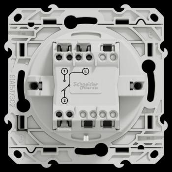  ODACE VV LUM ANTH VIS 