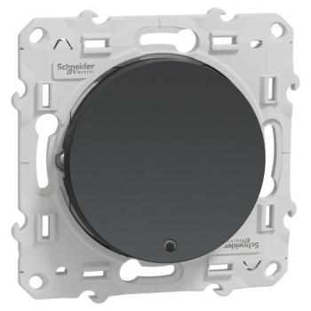  ODACE POUS LUM ANTH VIS 