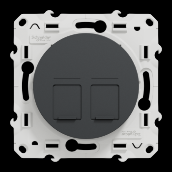  ODACE SUPPORT 2xRJ45 ANTH 