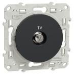  ODACE PRISE TV ANTH VIS 