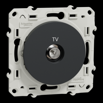  ODACE PRISE TV ANTH VIS 