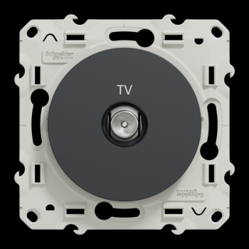  ODACE PRISE TV ANTH VIS 