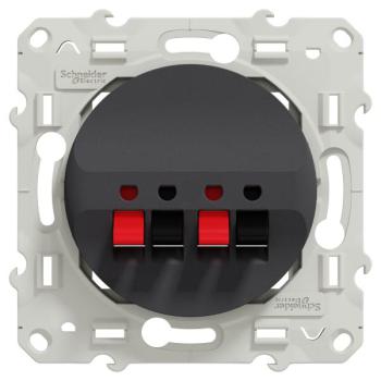  ODACE PRISE HP 2S ANTH 