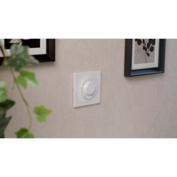  ODACE STYL PLAQUE ANTH 1P 