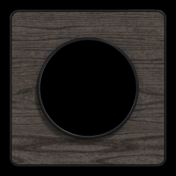  Odace Touch 1 plaque Chene gri 