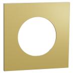  Odace M. plaque 1 poste laiton 