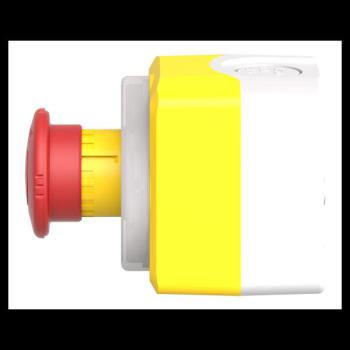  Boite ARU lum B/R 1O+1F 24V 