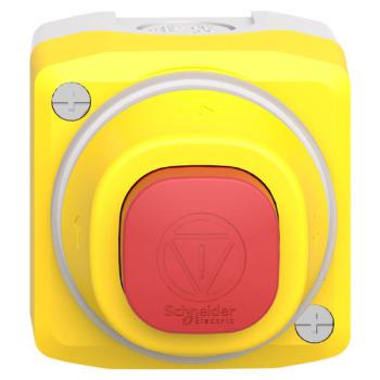  Boite ARU lum B/R 1O+1F 24V 