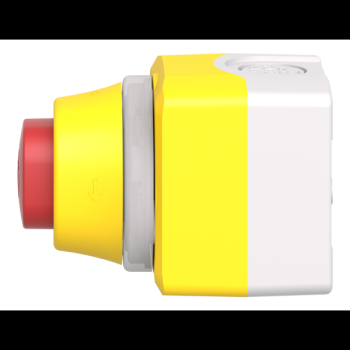  Boite ARU lum B/R 1O+1F 24V 