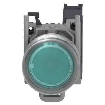  AEx BP AF CAPUCHONNE VERT 