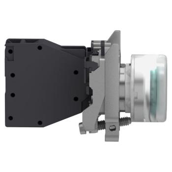  AEx BP AF CAPUCHONNE VERT 