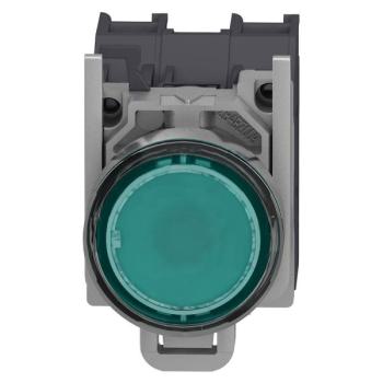  AEx BPL CAPUCHONNE VERT 2 