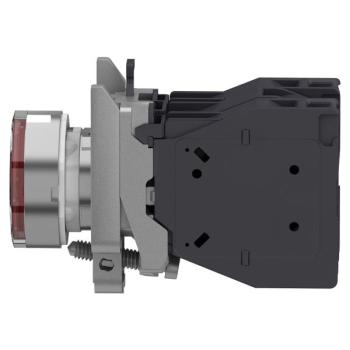  AEx BPL CAPUCHONNE ROUGE 