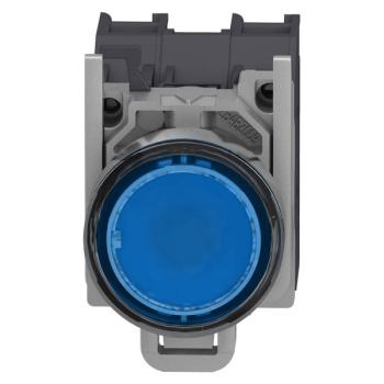  AEx BPL CAPUCHONNE BLEU 2 