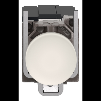  Voyant lumineux blanc 230V 