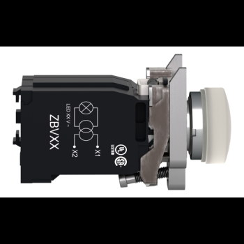  Voyant lumineux blanc 230V 