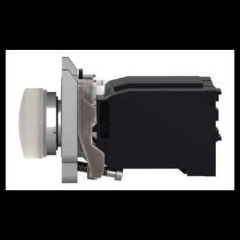  Voyant lumineux blanc 230V 