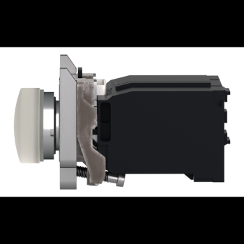  Voyant lumineux blanc 230V 