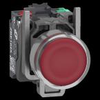  BP ROUGE PUSH IN 1F+1O 