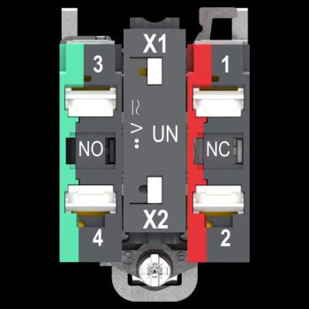  BP ROUGE PUSH IN 1F+1O 