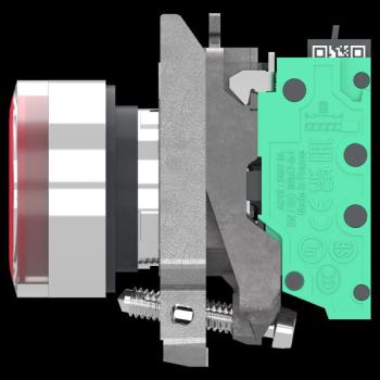  BP ROUGE PUSH IN 1F+1O 