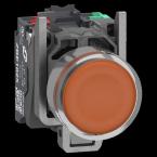  BP ORANGE PUSH IN 1F+1O 