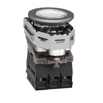  BP lum flush blanc 1O+1F 24V 