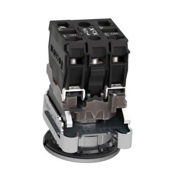  BP lum flush bleu 1O+1F 24V 