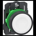  BP BLANC PUSH IN RAP RESS 1F 