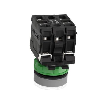  BP lumineux blanc 1O+1F 110V 