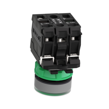  BP lumineux vert 1O+1F 24V 