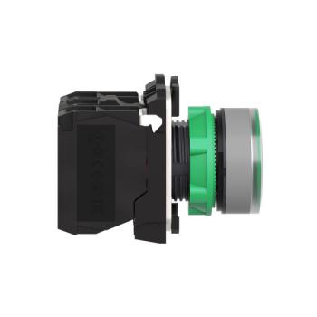  BP lumineux vert 1O+1F 110V 