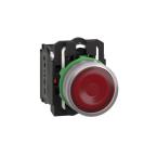  BP lumineux rouge 1O+1F 24V 