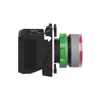  BP lumineux rouge 1O+1F 24V 