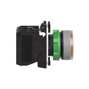  BP lumineux orange 1O+1F 110V 