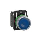  BP lumineux bleu 1O+1F 110V 