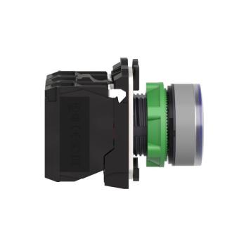  BP lumineux bleu 1O+1F 110V 