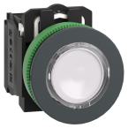  BP lum flush blanc 1O+1F 24V 