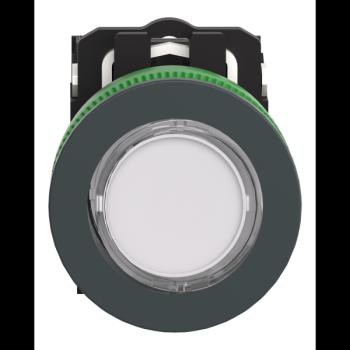  BP lum flush blanc 1O+1F 24V 