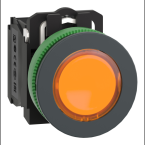  BP lum flush orange 1O+1F 24V 