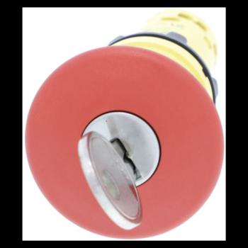  BPAUTRIGD40CLE455 1NC+1NO 