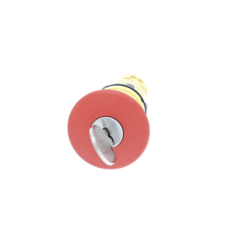  BPAUTRIGD40CLE455 1NC+1NO 