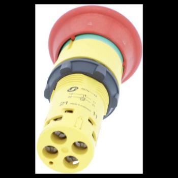  BPAUTRIGD40CLE455 1NC+1NO 