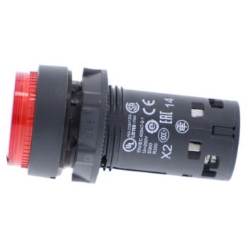  BP lum LED 1NO rge 24V 