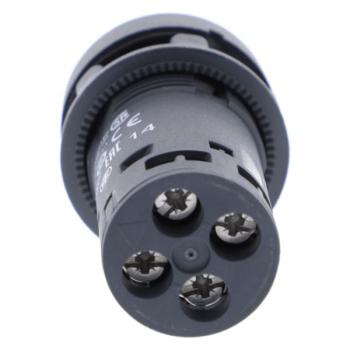  BP lum LED 1NO rge 110V 