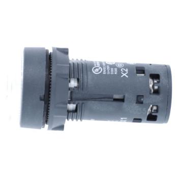  BP lum LED 1NO iclre 24V 