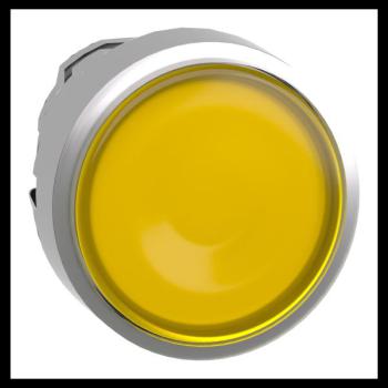  T�te bouton P P lumin affl O22 